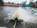Xử lý nguồn nước ao nuôi tôm