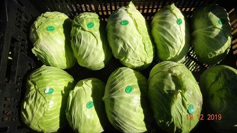 Bap su
