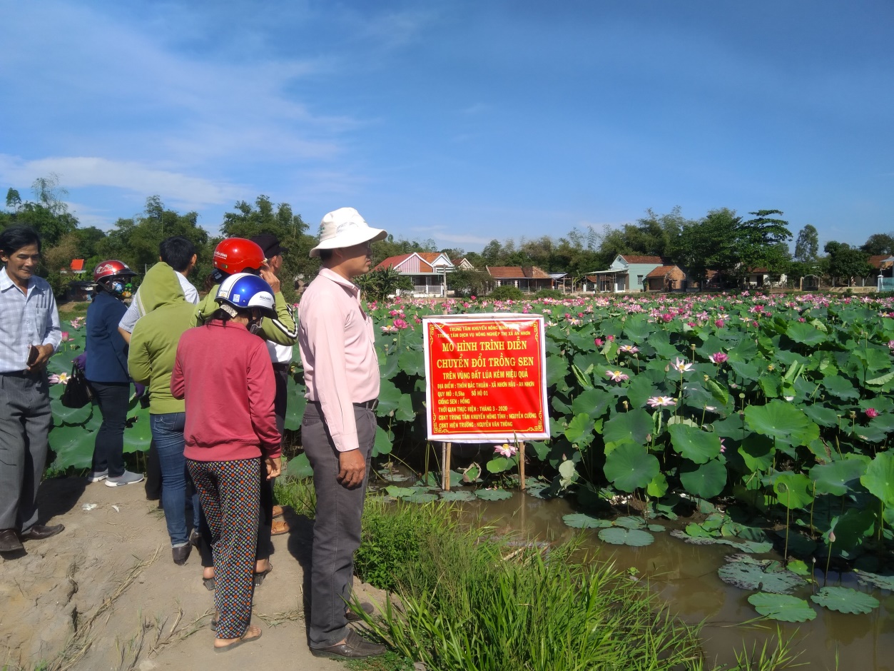 Bà con nông dân thăm quan mô hình tại xã Nhơn Hậu, TX An Nhơn