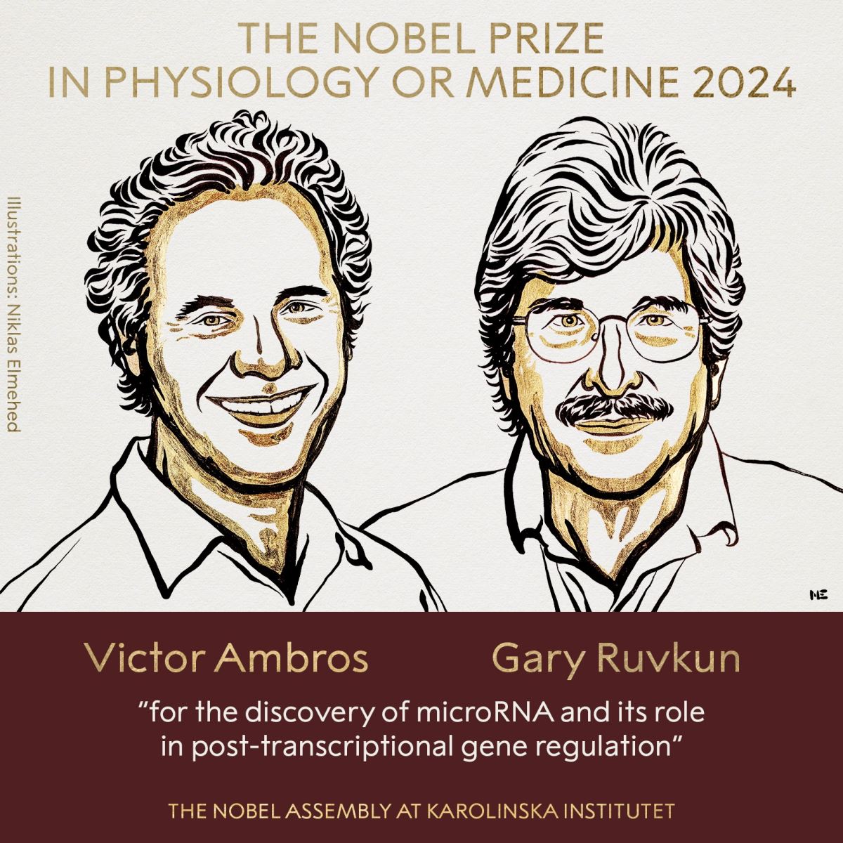 Giải Nobel Y sinh 2024 vinh danh phát minh RNA