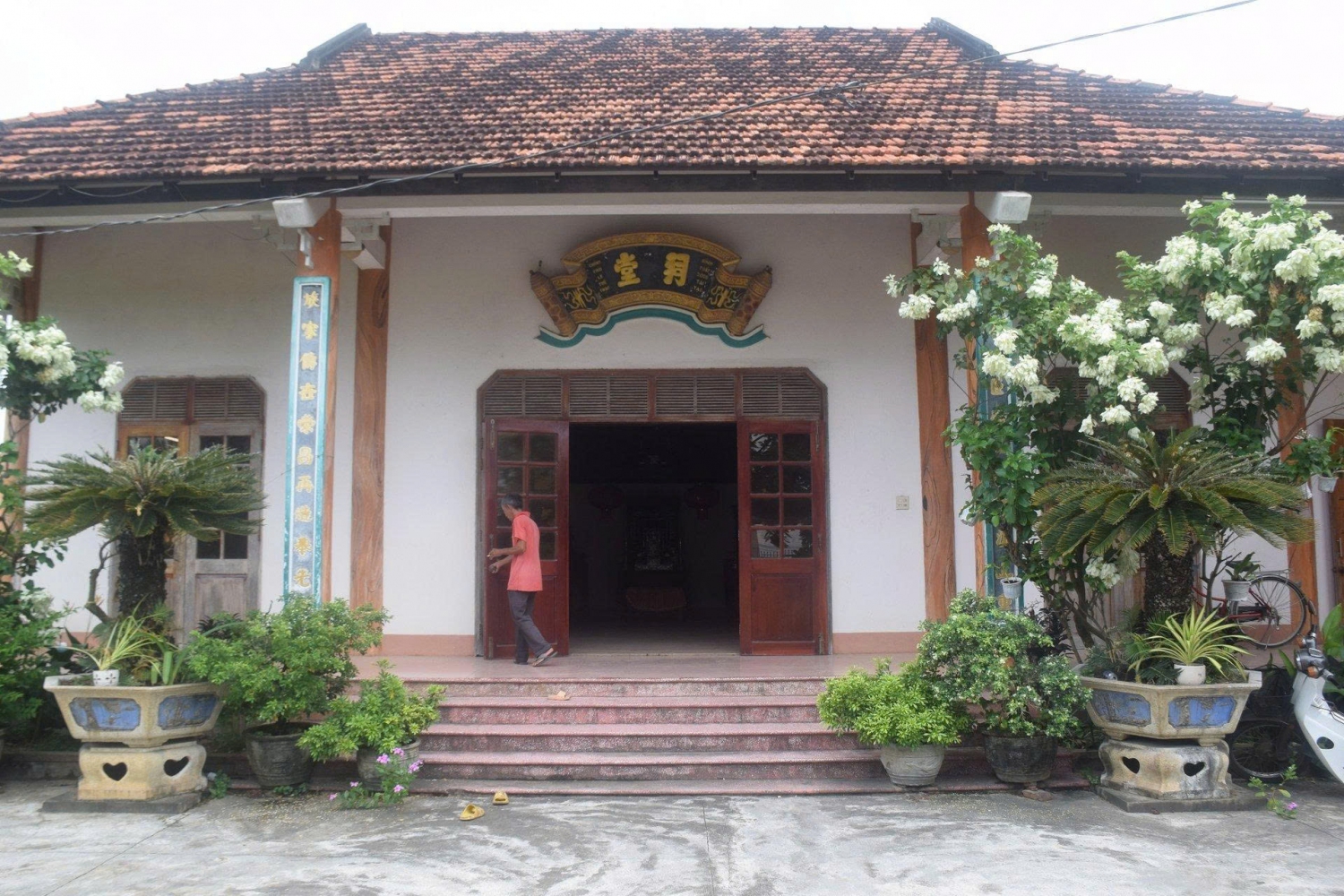 le dai cang 1