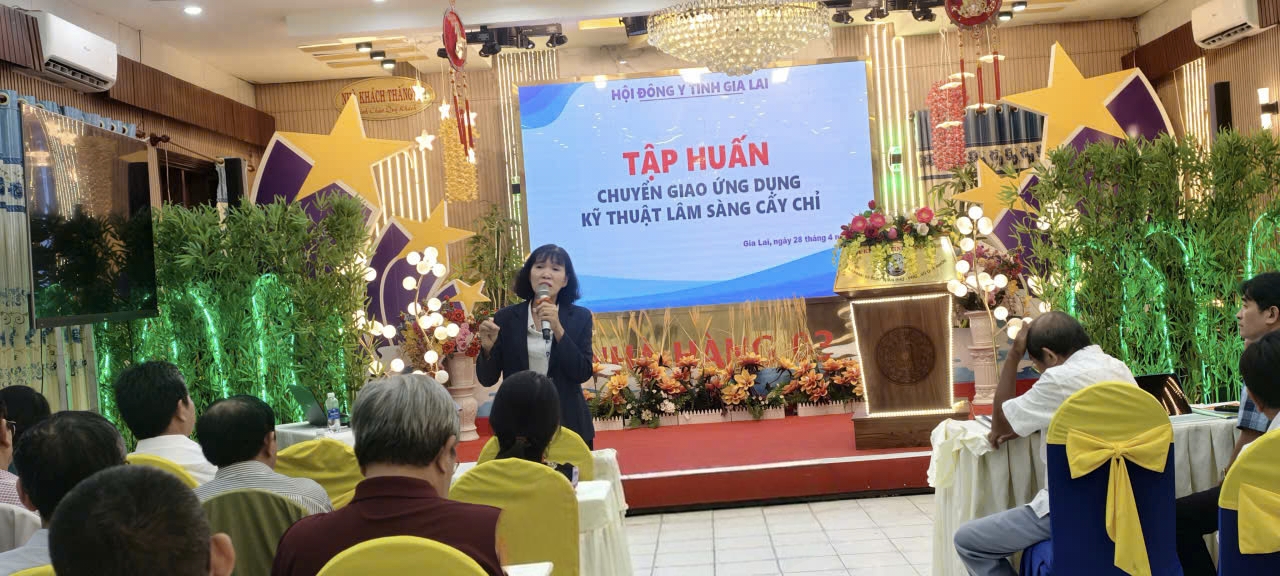 dong y th 1