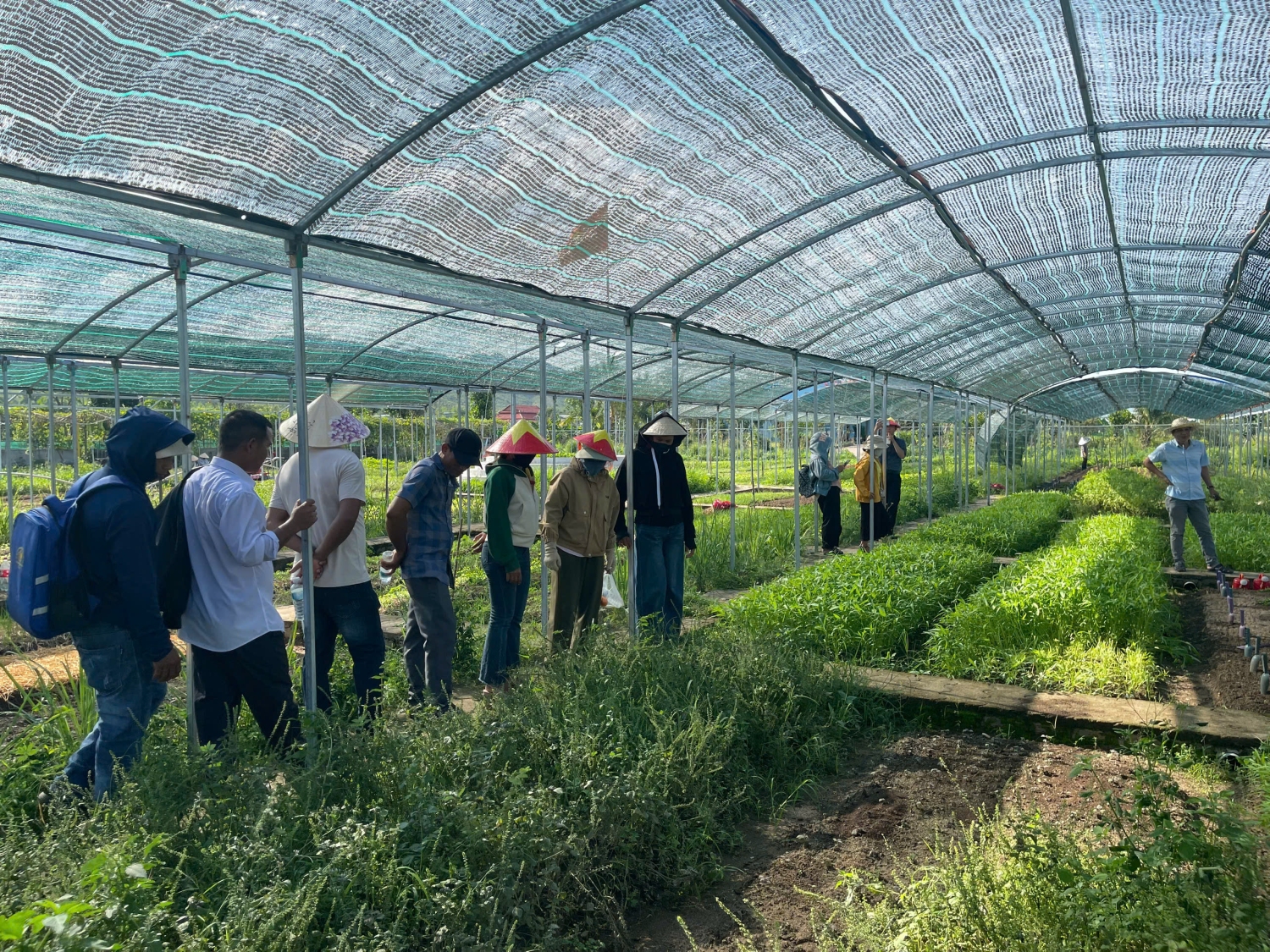 farm9
